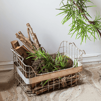 Artificial Ferns Vine Stem 39" Long - RusticReach