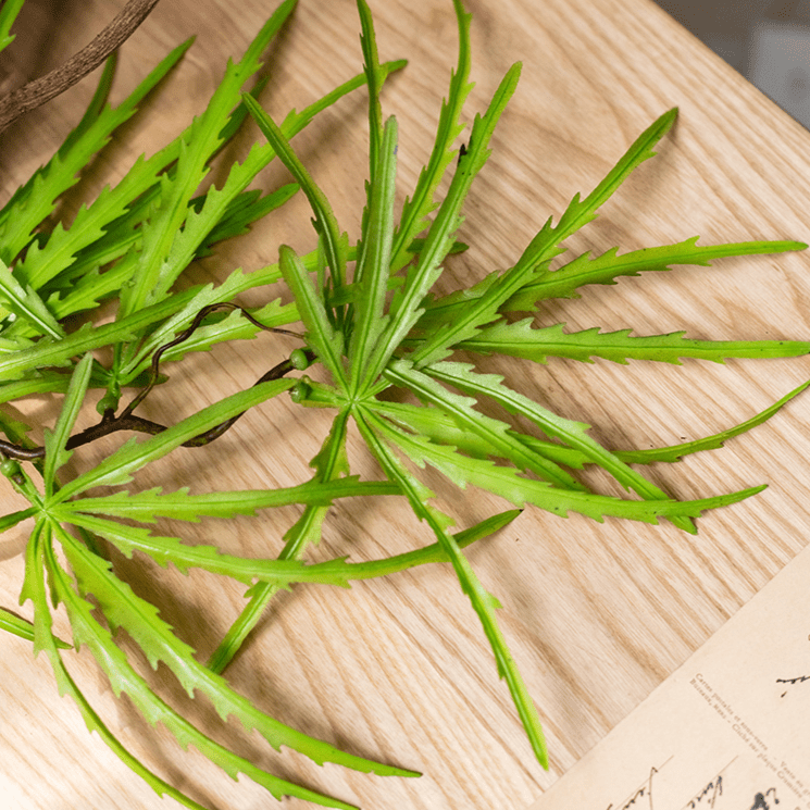 Artificial Ferns Vine Stem 39" Long - RusticReach