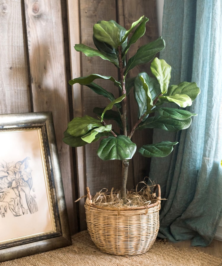 Artificial Olive Trees , Faux Olive Tree – RusticReach