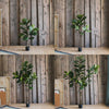 Artificial Tree Fiddle Leaf Tree In Pot - RusticReach