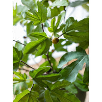 Artificial Faux Fig Leaf Stem
