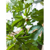 Artificial Faux Fig Leaf Stem - RusticReach
