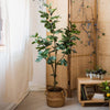 Artificial Silk Fig Tree In Pot - RusticReach
