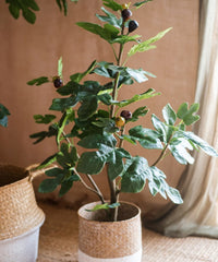 Artificial Silk Fig Tree In Pot