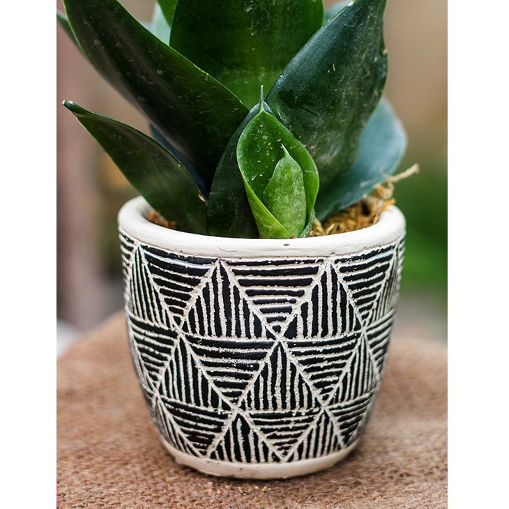 Geometric Art Concrete Flower Pot - RusticReach