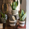 Geometric Art Concrete Flower Pot - RusticReach
