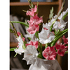 Faux Silk Artificial Gladiolus Flower Stem - RusticReach