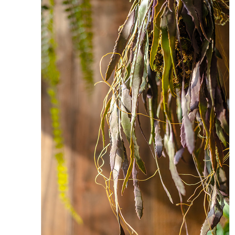 Artificial Faux Hanging Aloe Vera Plant in Pot