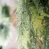 Faux Artificial Asparagus Setaceus Hanging Fern Plant - RusticReach