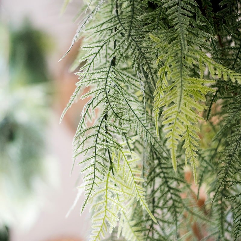 Faux Artificial Asparagus Setaceus Hanging Fern Plant - RusticReach