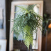 Faux Artificial Asparagus Setaceus Hanging Fern Plant - RusticReach