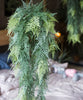 Faux Artificial Asparagus Setaceus Hanging Fern Plant - RusticReach