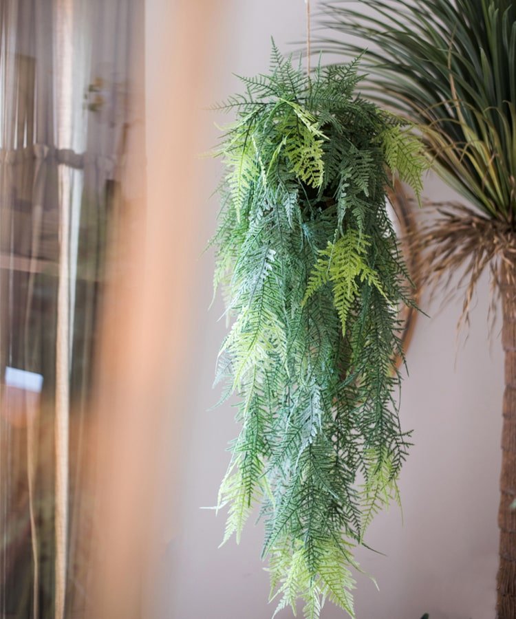 Faux Artificial Asparagus Setaceus Hanging Fern Plant - RusticReach