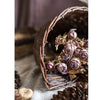 Horn Shape Willow Hanging Basket Planter - RusticReach