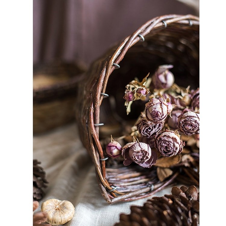 Horn Shape Willow Hanging Basket Planter - RusticReach