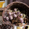 Horn Shape Willow Hanging Basket Planter - RusticReach