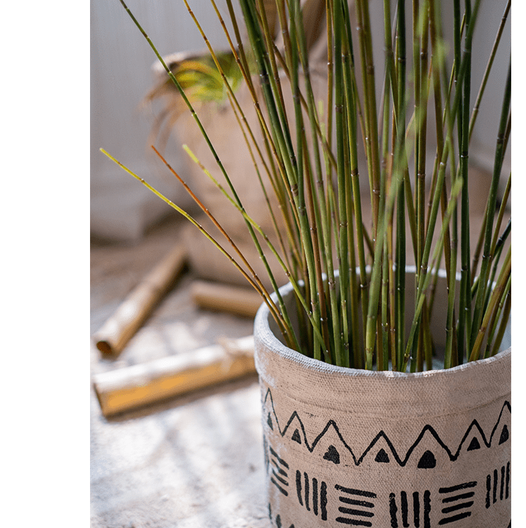 Artificial Faux Rough Horsetail Plant Long Stem 54" Tall - RusticReach