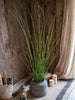 Artificial Faux Rough Horsetail Plant Long Stem 54" Tall - RusticReach