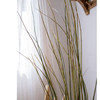 Artificial Faux Rough Horsetail Plant Long Stem 54" Tall - RusticReach