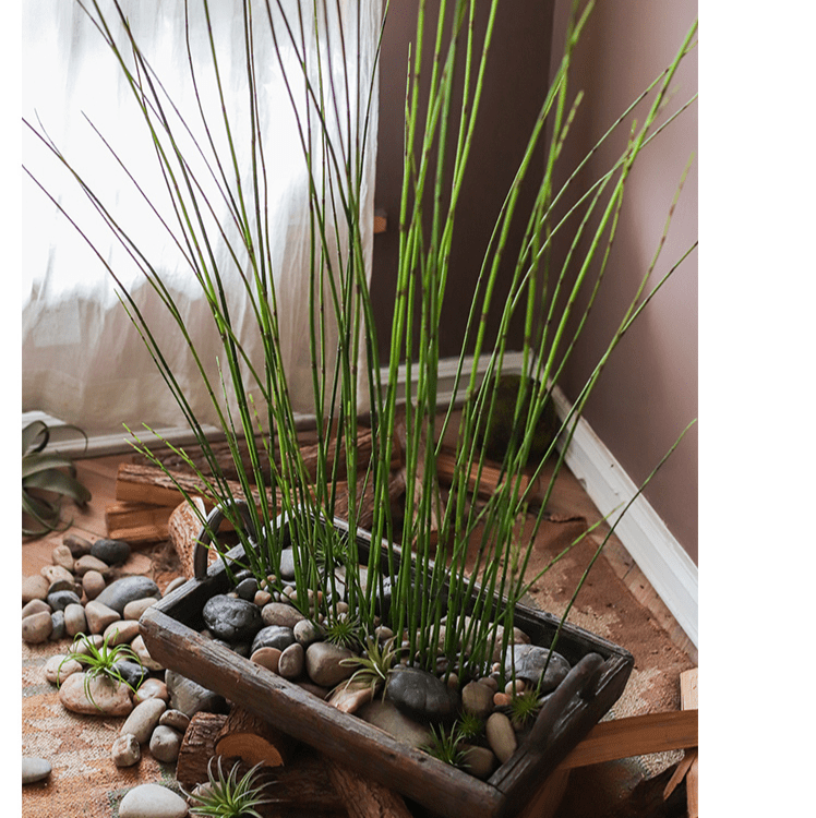Artificial Faux Rough Horsetail Plant Long Stem 54" Tall - RusticReach