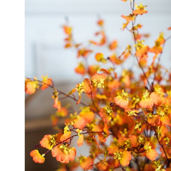 Impressionist Oncidium Orchid Stem in Orange 31" Tall - RusticReach