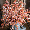 Impressionist Oncidium Orchid Stem in Pink 31" Tall - RusticReach
