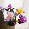 Faux Artificial Iris Flower Stem 31.5" Tall Silk - RusticReach