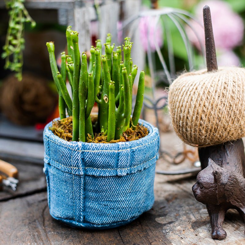 Pants for Plants Blue Jeans Cement Flower Pot - RusticReach