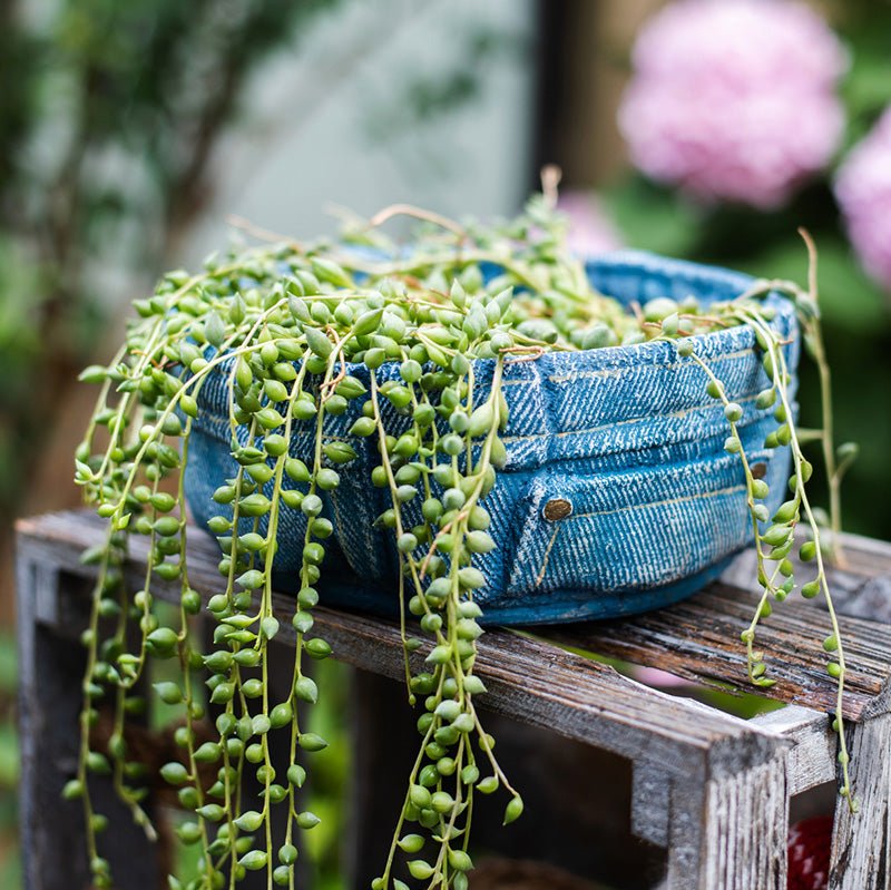 Pants for Plants Blue Jeans Cement Flower Pot - RusticReach