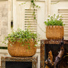 Lady Straw Basket Cement Planter - RusticReach
