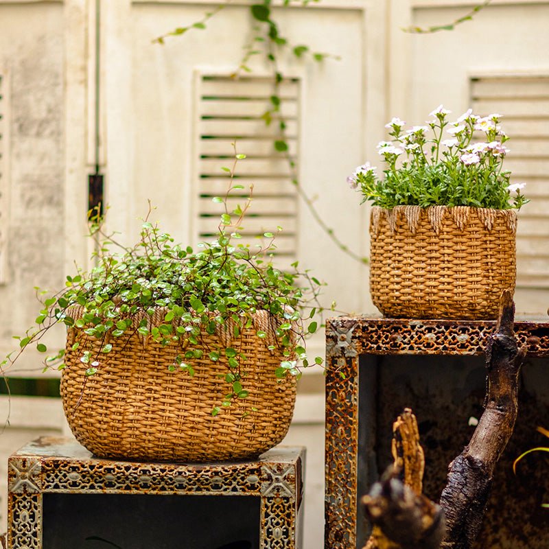 Lady Straw Basket Cement Planter - RusticReach