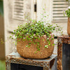Lady Straw Basket Cement Planter - RusticReach