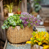 Lady Straw Basket Cement Planter - RusticReach