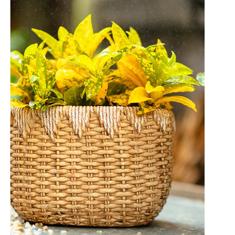 Lady Straw Basket Cement Planter - RusticReach