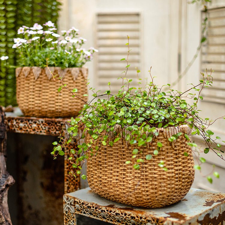 Lady Straw Basket Cement Planter - RusticReach
