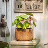 Lady Straw Basket Cement Planter - RusticReach