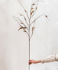 Artificial Dried Ling Yu Grass Stem 47" Tall Faux - RusticReach