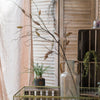 Artificial Dried Ling Yu Grass Stem 47" Tall Faux - RusticReach