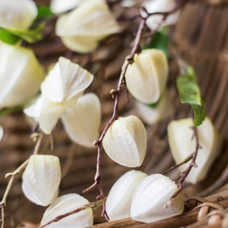 Artificial Makino Fruit Stem in White 39" Tall - RusticReach