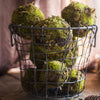 Faux Artificial Decorative Moss Ball - RusticReach