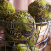 Faux Artificial Decorative Moss Ball - RusticReach
