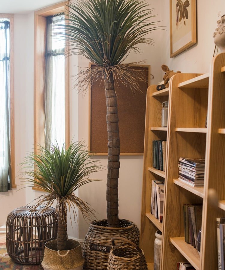 Moroccan Artificial Palm Tree In Pot - RusticReach