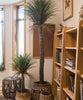 Moroccan Artificial Palm Tree In Pot - RusticReach
