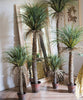 Moroccan Artificial Palm Tree In Pot - RusticReach