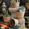 Natural Straw Desktop Flower Basket - RusticReach
