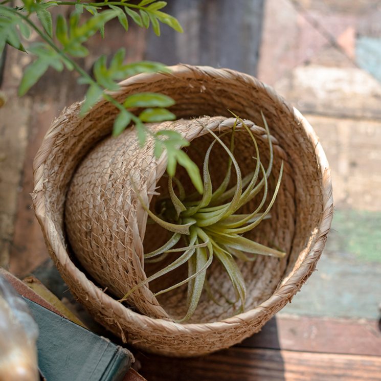Natural Straw Desktop Flower Basket