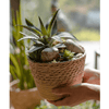 Natural Straw Desktop Flower Basket - RusticReach