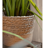 Natural Straw Desktop Flower Basket - RusticReach