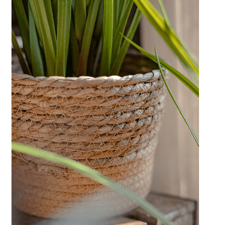 Natural Straw Desktop Flower Basket - RusticReach
