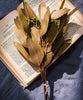 Artificial Oval Leaf Eucalyptus Stem Bundle in Brown 18" Tall Faux - RusticReach
